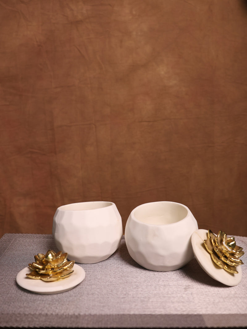 Dry fruits Bowl Set