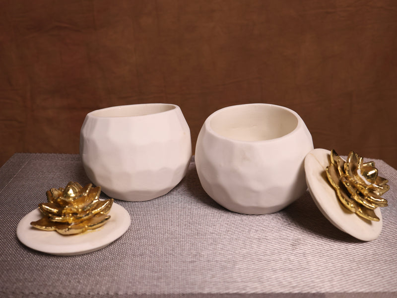 Dry fruits Bowl Set